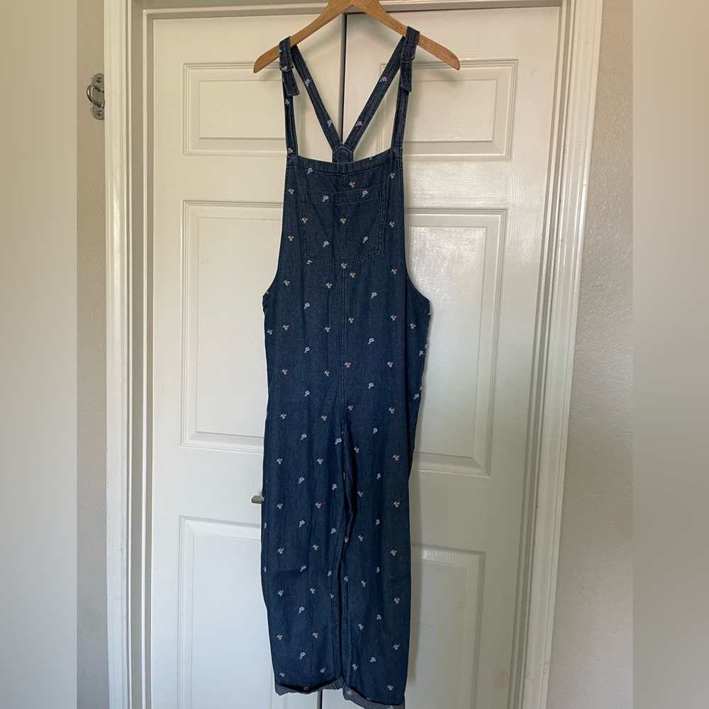 Aerie Overalls. Size L.